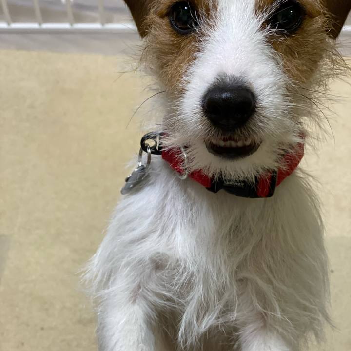 93a0f90e 47a7 429a 9a5d 87c1201b8ff4 1644234853633