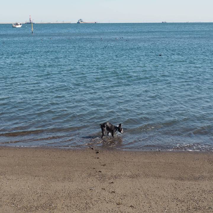 93a0ff14 1eb8 4c6b a32b ef26c41932b6 1575089258114