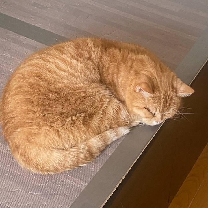 93a10455 02fd 440c bf34 f93273eb0c18 1649382131836