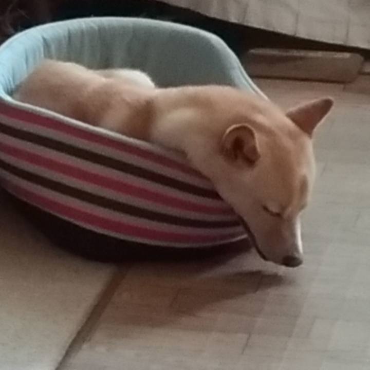 93a11570 b7ac 4caa 988b 6632b78e3fdf 1535083842438