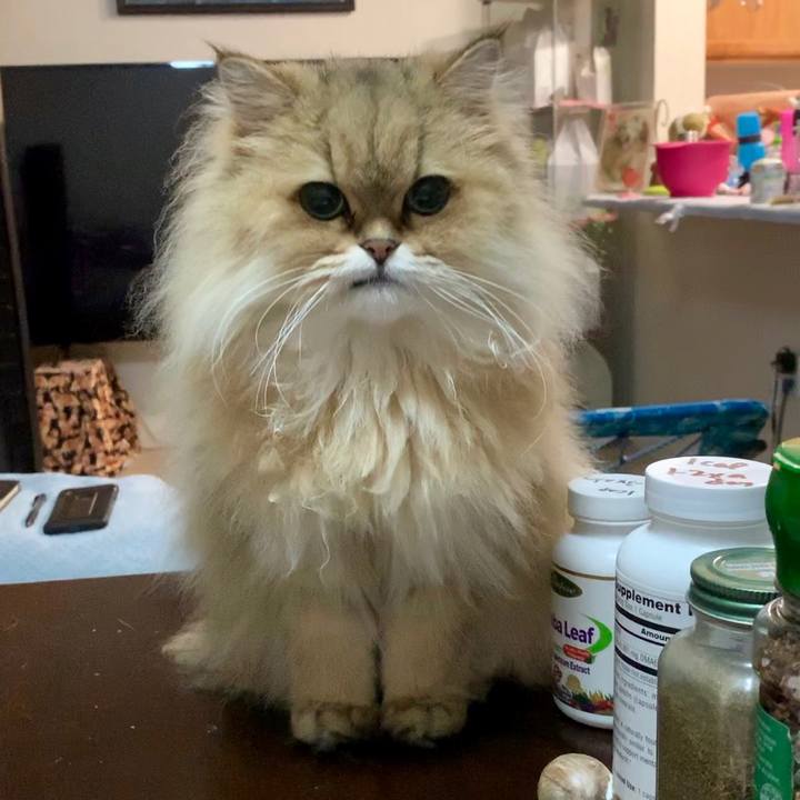 93a14cde b3ea 40cf 8be2 22bd7c282906 1567415327557