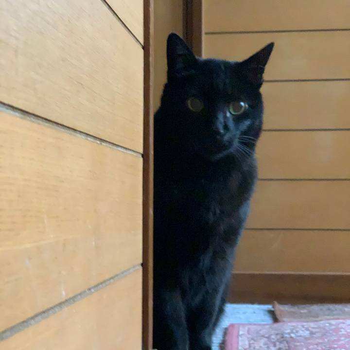 93a1a76a 99eb 4982 a1fc ccfe1b5e3ddd 1549243836237