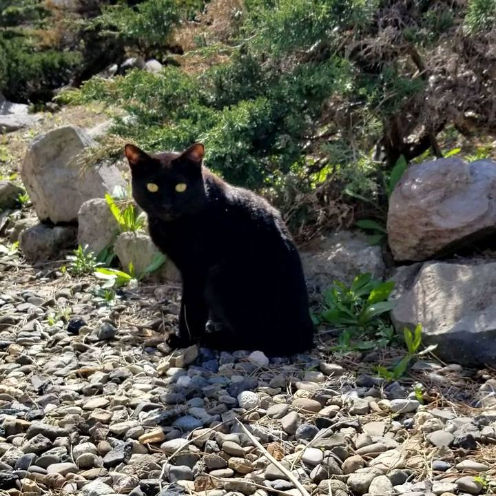 93a1bd5e 4662 48d1 a51a 32187d984866 1652314428568