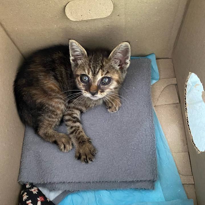 93a1ce5b b46a 4ca3 98ff a6a29f3d03b8 1653874225348