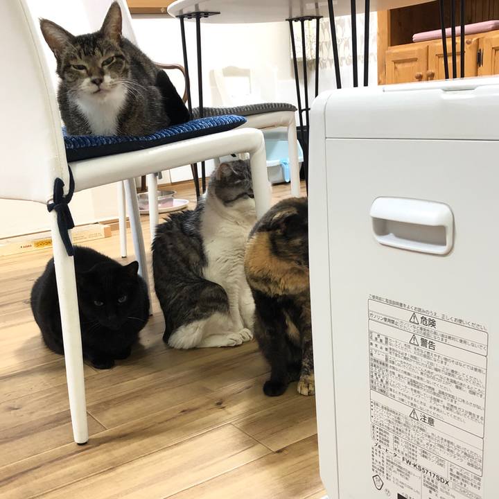 93a1cf74 f844 4a12 8657 09550d8401ec 1645222260786