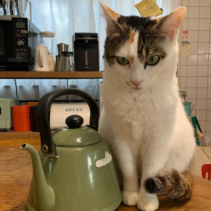 93a1f916 de68 428c b83e 6512b18ef404 1668394656381