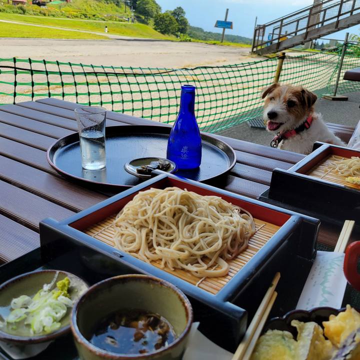 93a21a53 dacc 43ae be1f 01dc79f6d44e 1694925910276