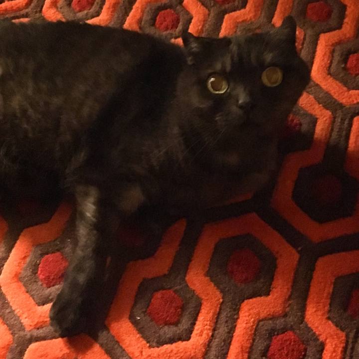 93a24d7c 0967 488d a0f5 742a897de97f 1561042471498