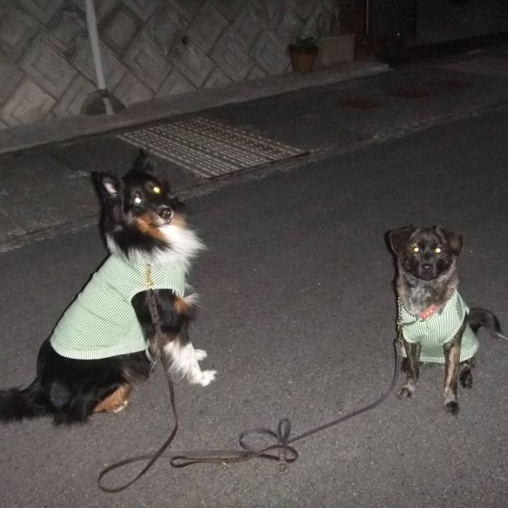 93a26cae 133f 4c45 a5da 0d6c2e958cc0 1508461712312