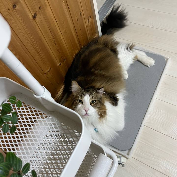 93a287c2 bba2 43dc a874 40dd634b594d 1716494052817