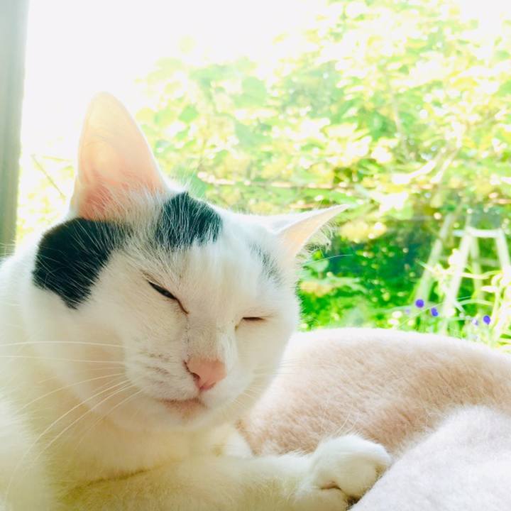 93a2d9fc ef2a 49a7 946e 3b07097d5d2f 1559702663932