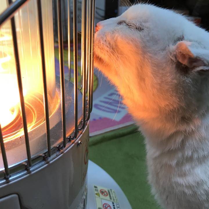 93a2da70 78c7 4351 b4a3 b2b7336b013e 1522892826774