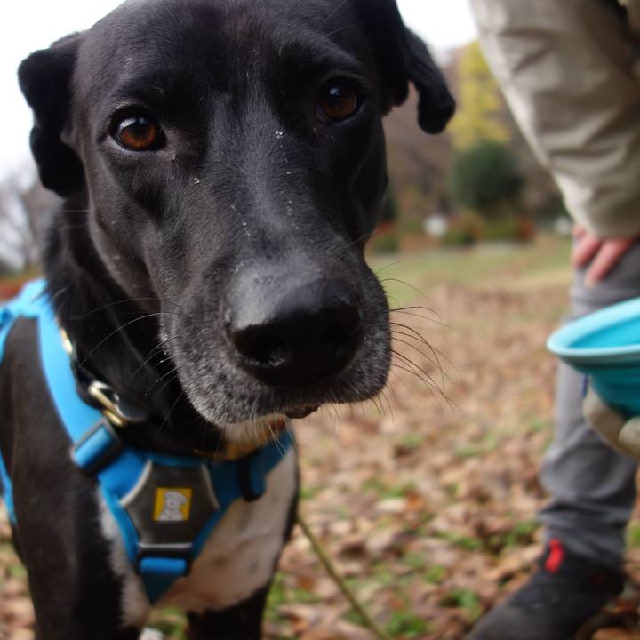 93a32218 8182 4413 b68d 88bcae436c1e 1607731816061