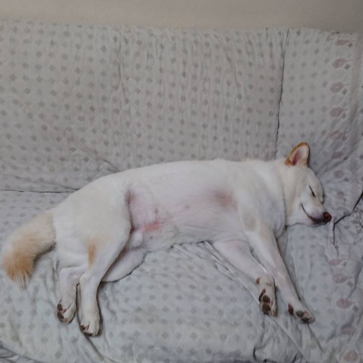 93a32671 79fc 4c6a a9f7 694898619dc2 1572348634534