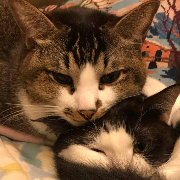 93a353bb 2b99 4cfc 9b88 744e3010ec73 1574752569571