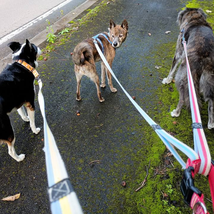 93a36b64 4e35 4234 a195 d792ff1f30f3 1769182196943