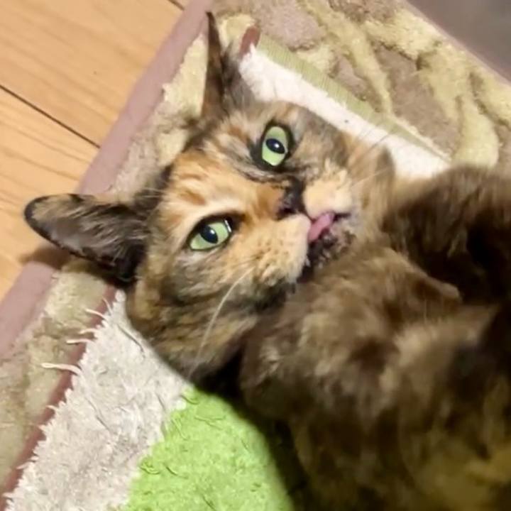 93a37a42 7dea 4ff4 977c c30ac6cf5906 1741034657216