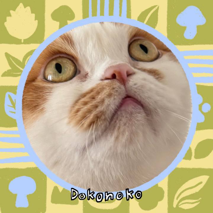 93a38413 953c 4163 be5a a88e7d015697 1761947759253