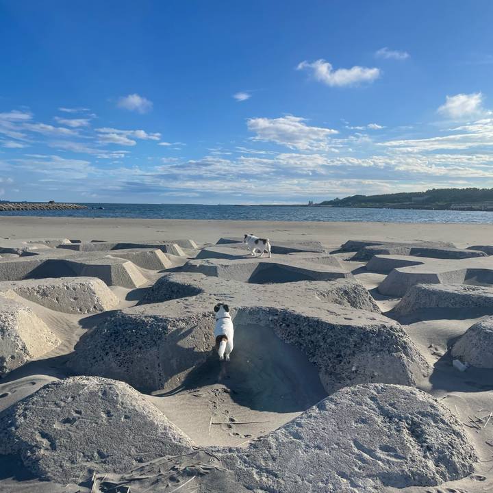 93a3c71a 3610 4626 b92b 180cccdc1c95 1757462447071