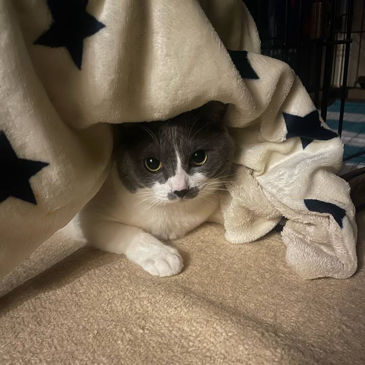 93a3f562 91ee 4658 97ad 8db03678c3e9 1735820068349