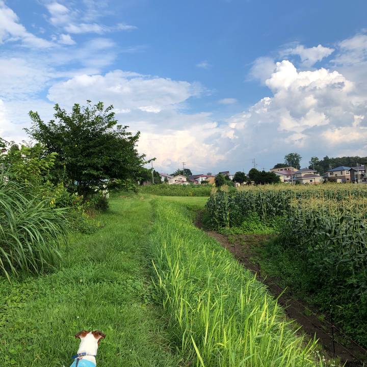 93a40264 58b0 4272 8654 5785d0b8d98d 1597054813863