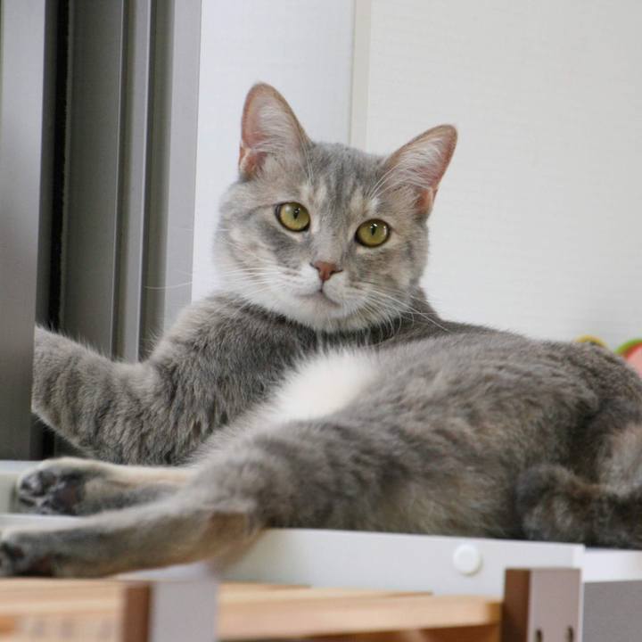 93a44d17 30da 45a2 9cbe da2db574a9cf 1529544938522