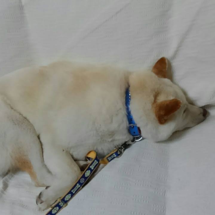 93a466c4 c872 46d1 b9f3 c392be66b43a 1525953037595