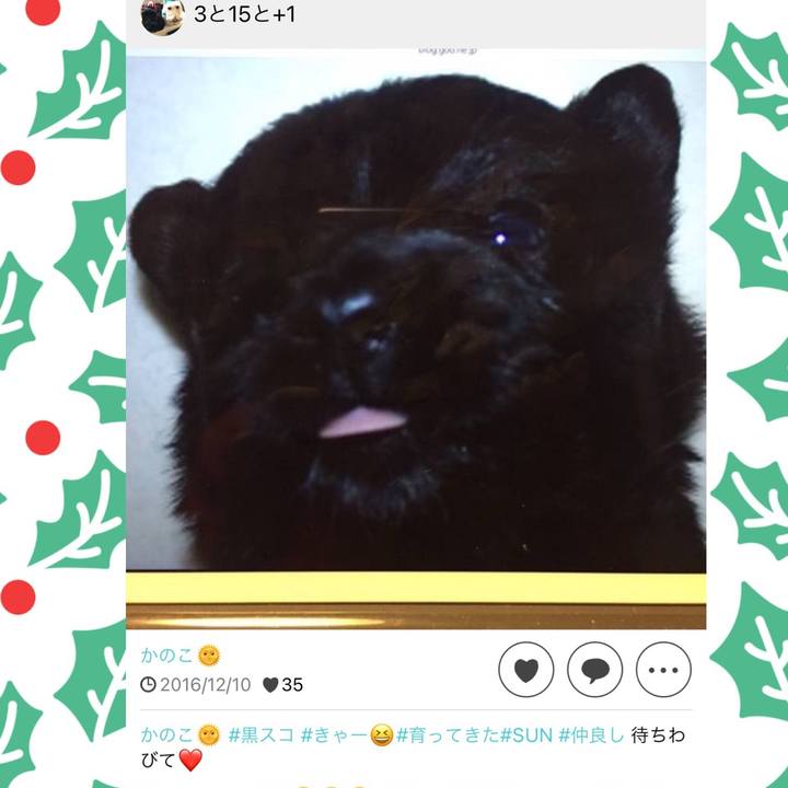 93a46b01 d88d 44f6 9d51 9cb57f7eeb2b 1639123840624