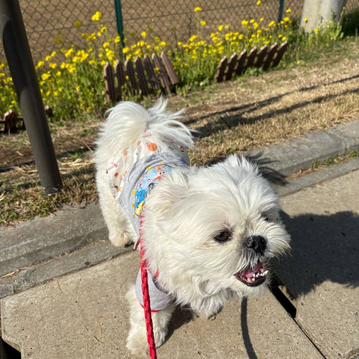 93a47958 698f 4b29 9a2a c0c52fae69fd 1771652531201