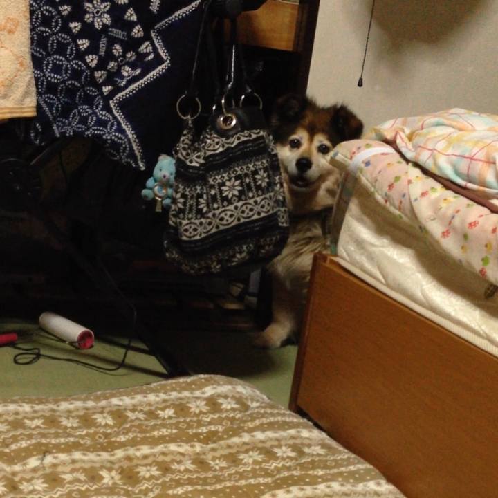 93a49e01 80fe 4fed af18 5e0e30ade450 1562668836470