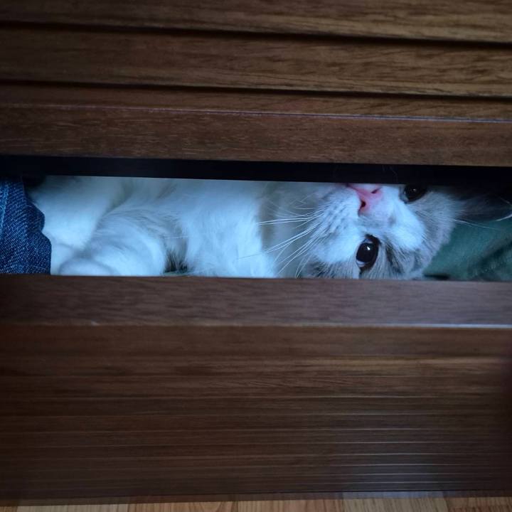 93a4c9dd eceb 4fcd 93df 2db54a91b5fc 1756616217090