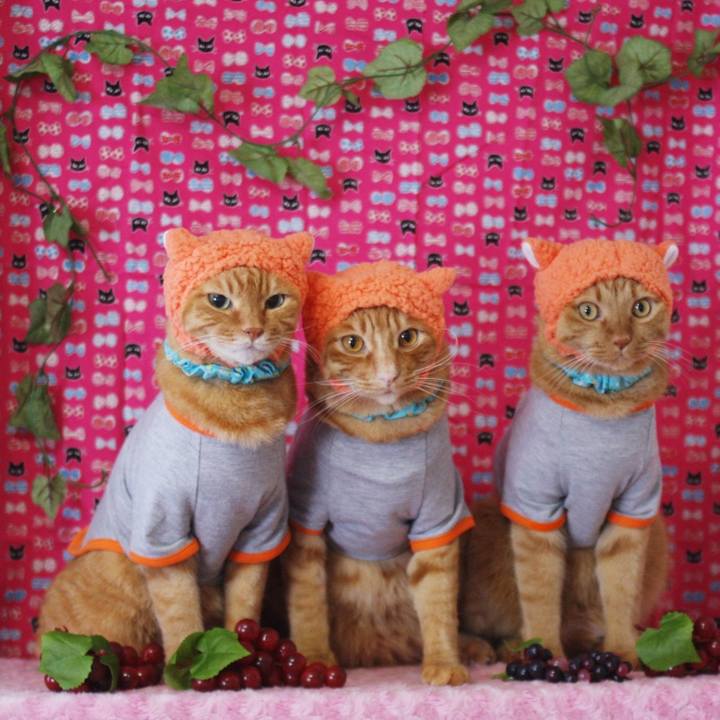 93a4ce6d 844f 4561 9671 be6c5d6d9e9c 1732161764260