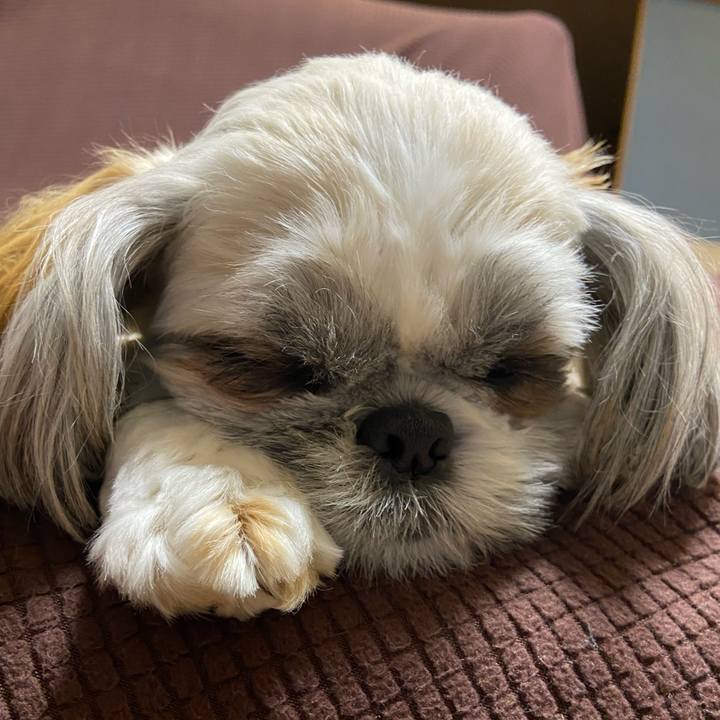 93a4db2d 715f 45c6 95ef 388844efbf37 1655079294692