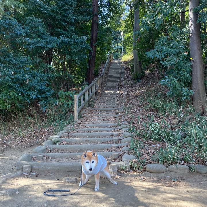 93a51601 8eff 4699 b79e 2d7d24194946 1770274009985