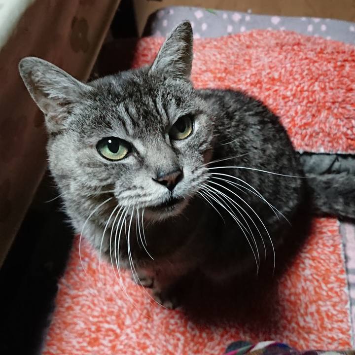 93a525b7 1324 41a1 a8f1 dd67ecc081ec 1584820719205