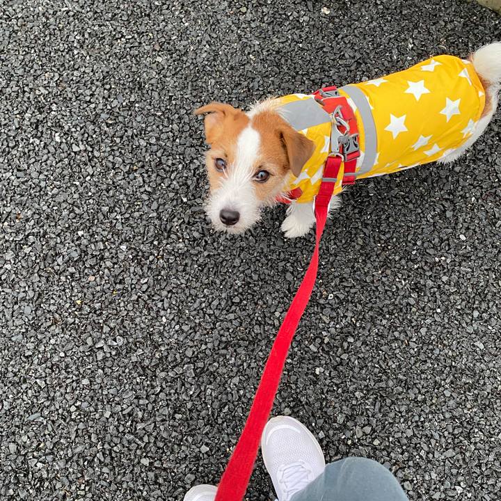 93a52a73 849d 4522 ba09 b5d9d7f5d2d3 1740954098429