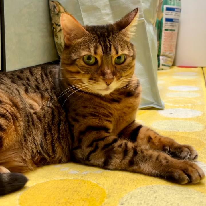 93a54022 faa2 4494 85a7 b7956f5d3751 1666063852882