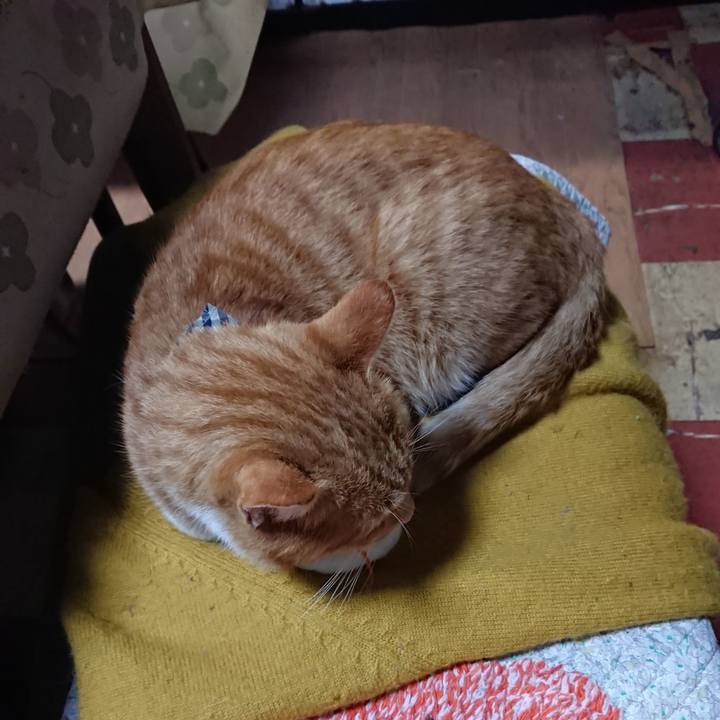 93a557c4 69e5 440e b277 078cef103c2b 1570530904222