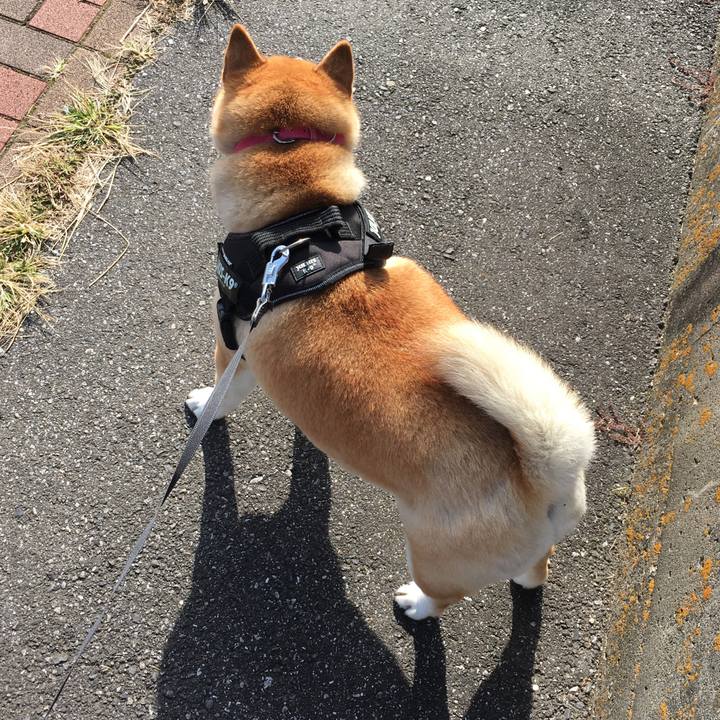 93a56167 221f 4337 9c47 81de60b4fbd4 1574055800602