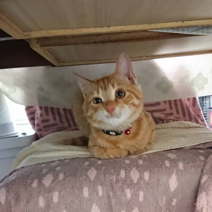 93a57e36 7664 426b bbb4 e0b3285412ba 1635042049170