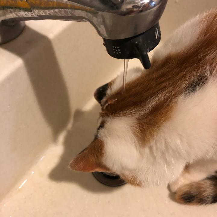 93a598da 4ac2 4765 becc 08d88106d107 1605225748101