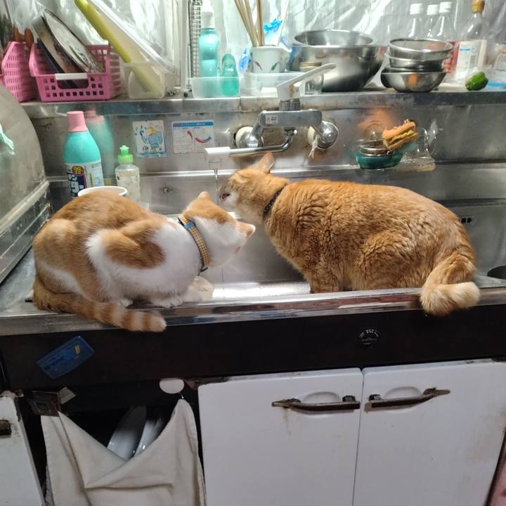 93a5a980 d92a 4101 ad33 f9c3ebcd7ee7 1733177385309