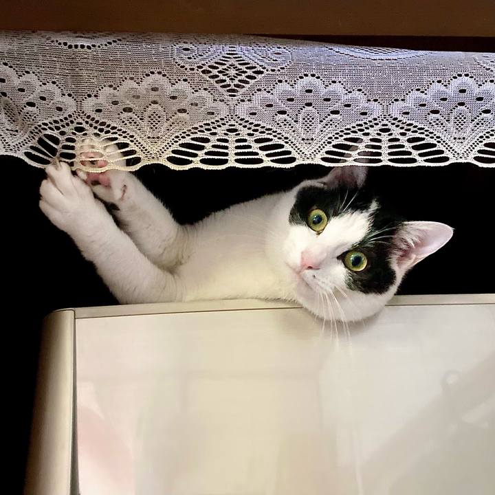 93a5bd02 5cd4 4a6b 91d4 0edd8a4055b0 1655172242237