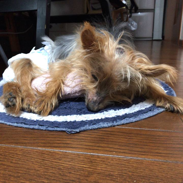 93a5ca63 41cd 41f9 a945 097f666343b1 1539146311422