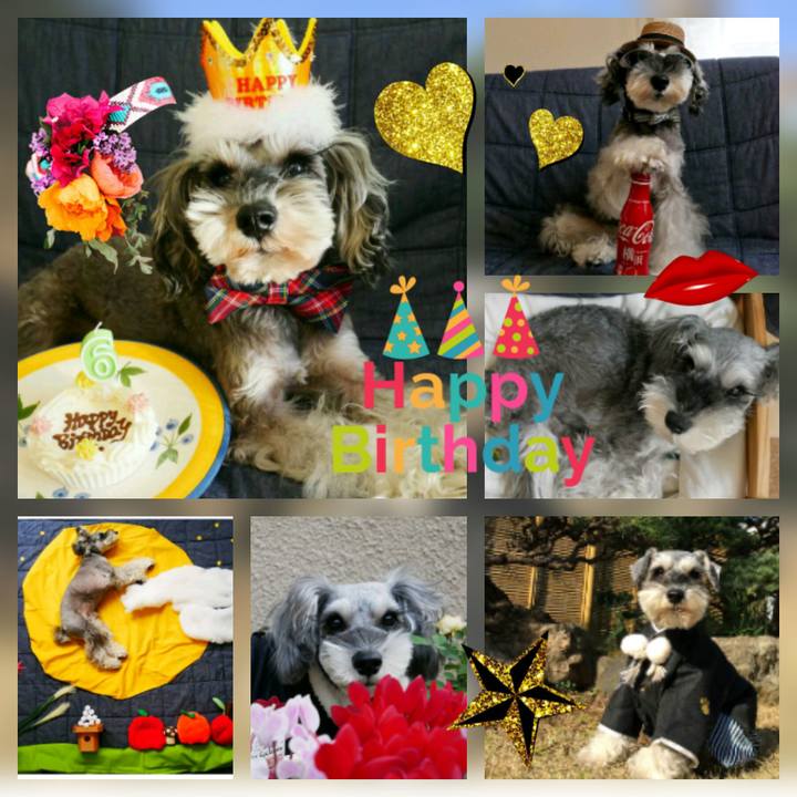 93a611bd bd5d 4476 a548 f99295f780ea 1513506170957