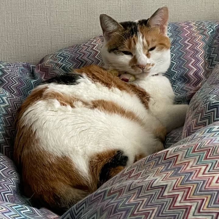 93a61a49 6c9d 412b 915e 443ce526df86 1638581131935