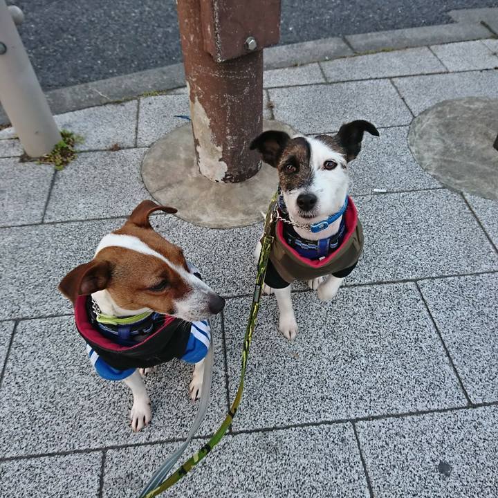 93a63a4d f57e 47ff 8cc4 0ed2db60c28e 1548799511484