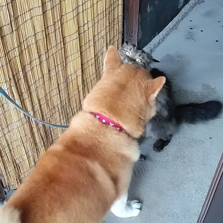 93a65df2 821f 4e75 8459 7ba09965cb72 1627083513408