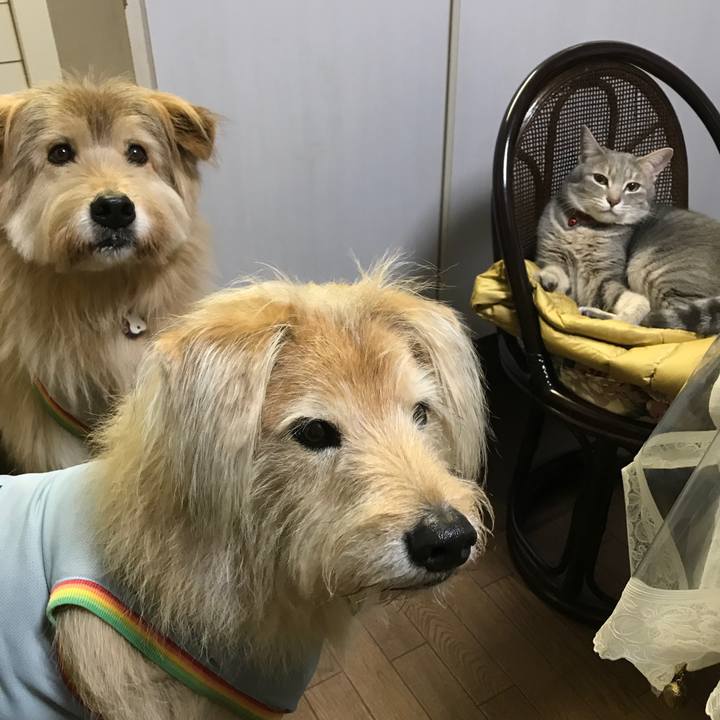 93a6bdf1 0707 4c7c b299 d0ff77cd2f19 1546263339284