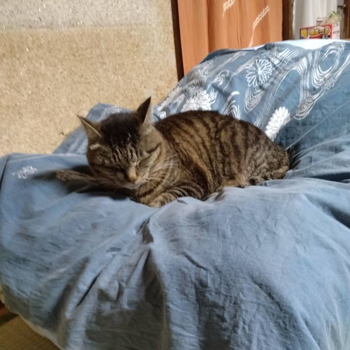 93a6cd5d d4db 4daf a166 54460608d179 1715553037060